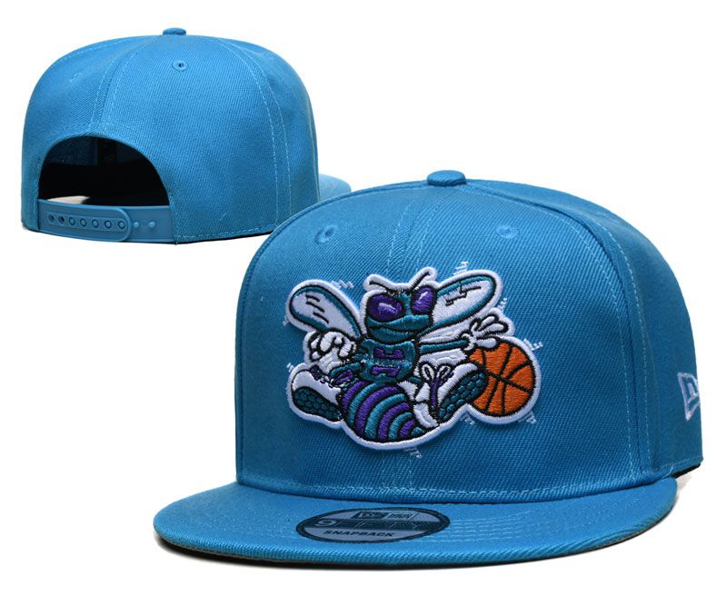 2024 NBA Charlotte Hornets Hat TX20240412